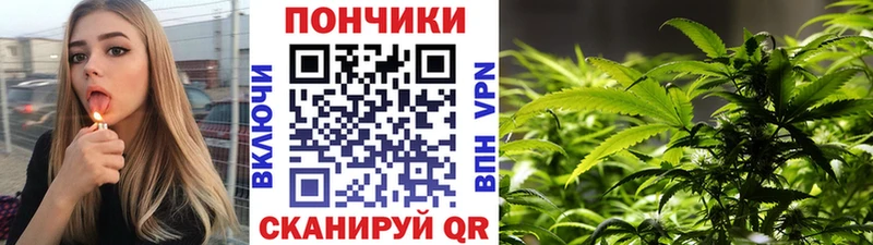 даркнет наркотические препараты  наркошоп  Шахунья  Шишки марихуана OG Kush 
